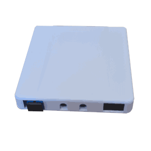 Fiber Abonnementboks 2 Port